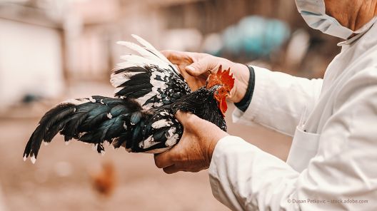 Foto mit einem Vogel