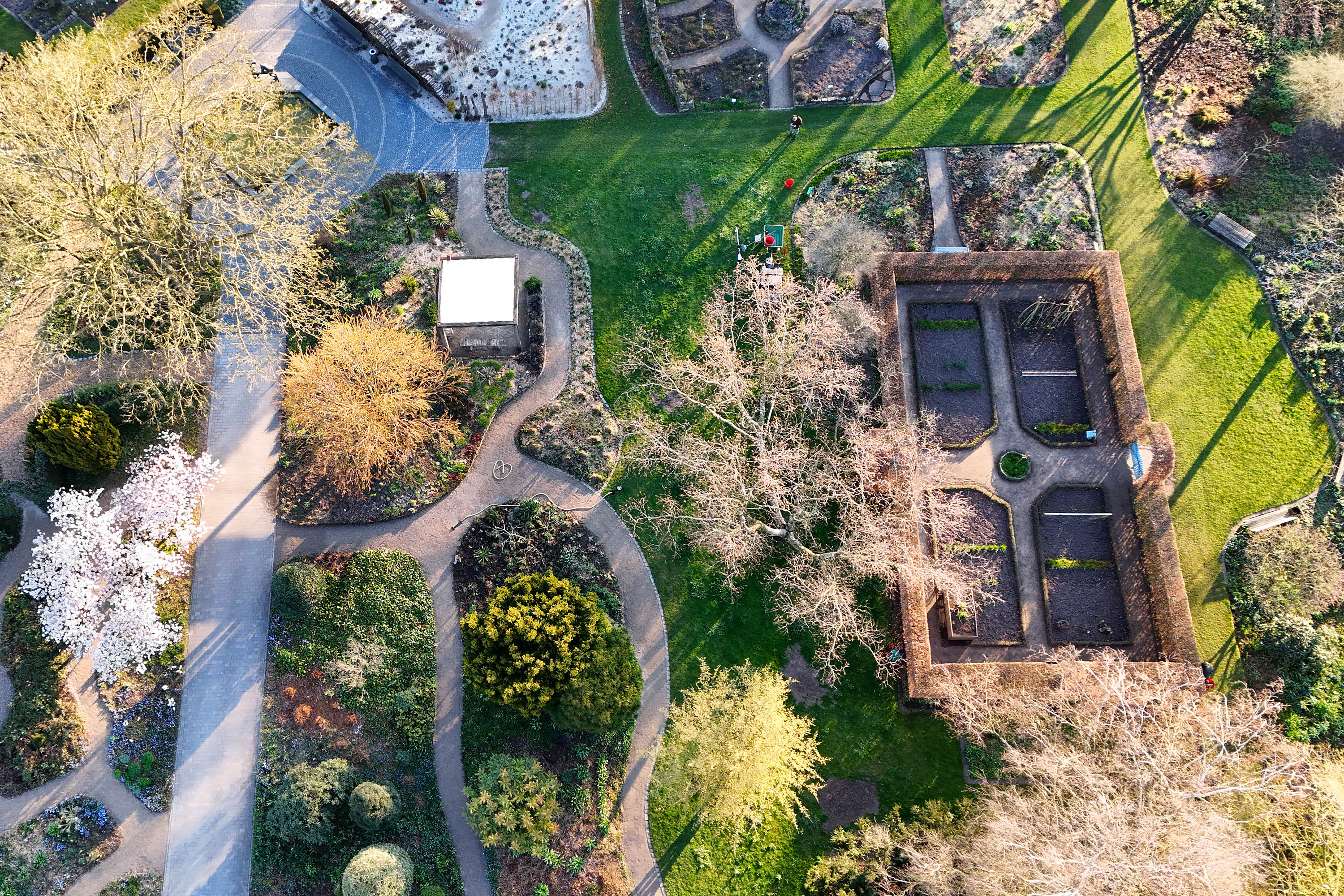 Gemüsegarten