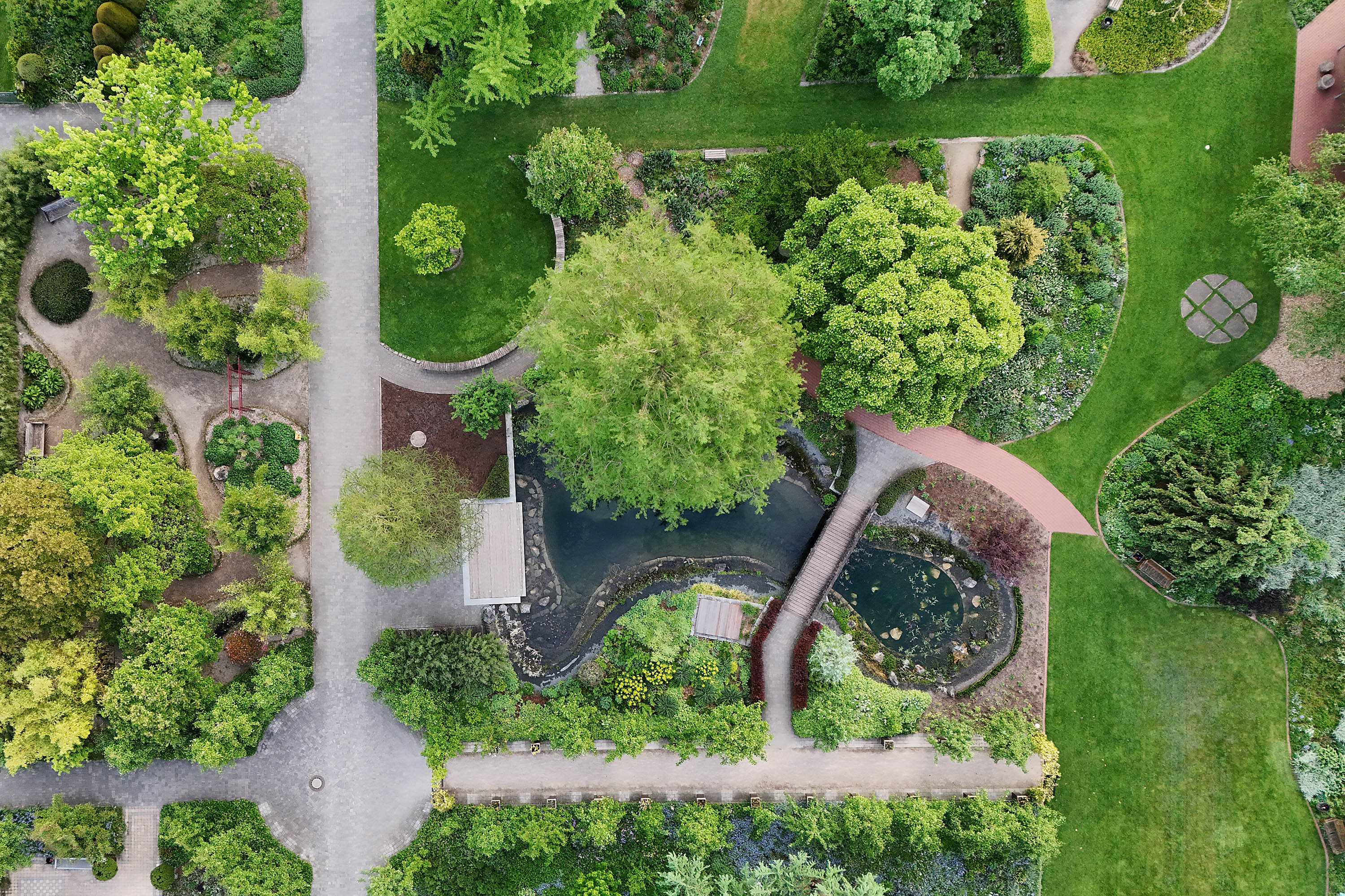 Hauptweg mit Gartenteich im vorderen Bereich