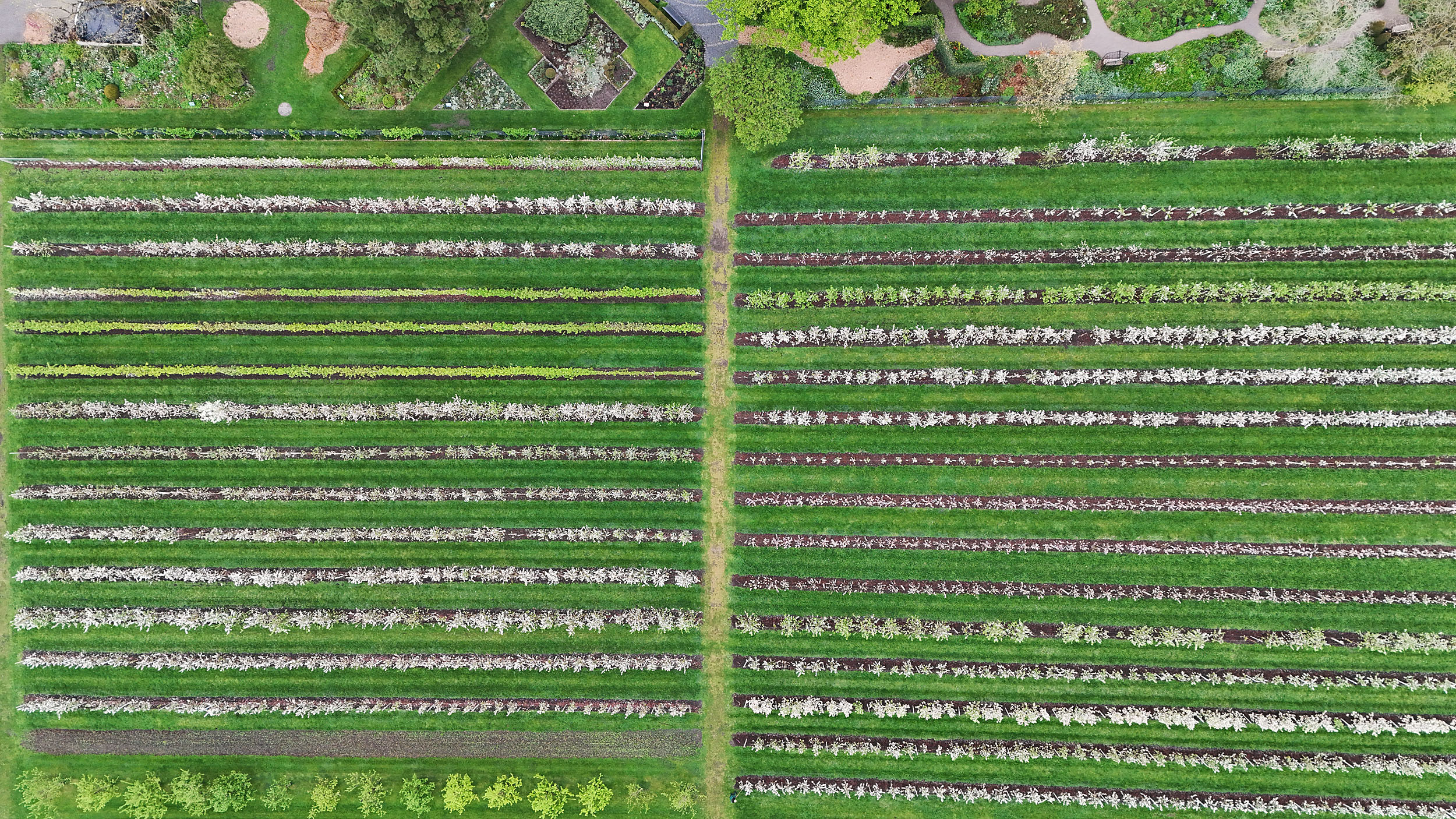 der Obstgarten