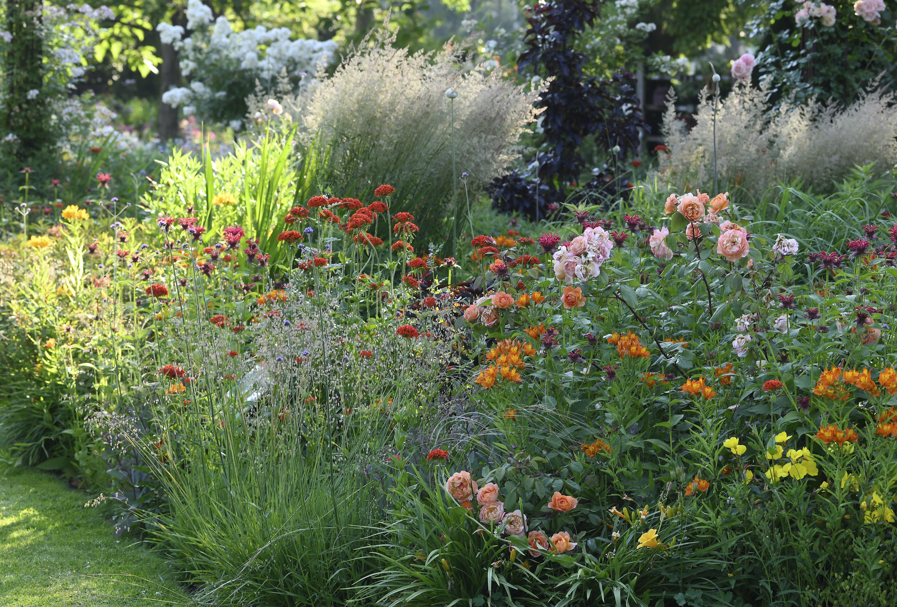 Orange-gelber Sommer