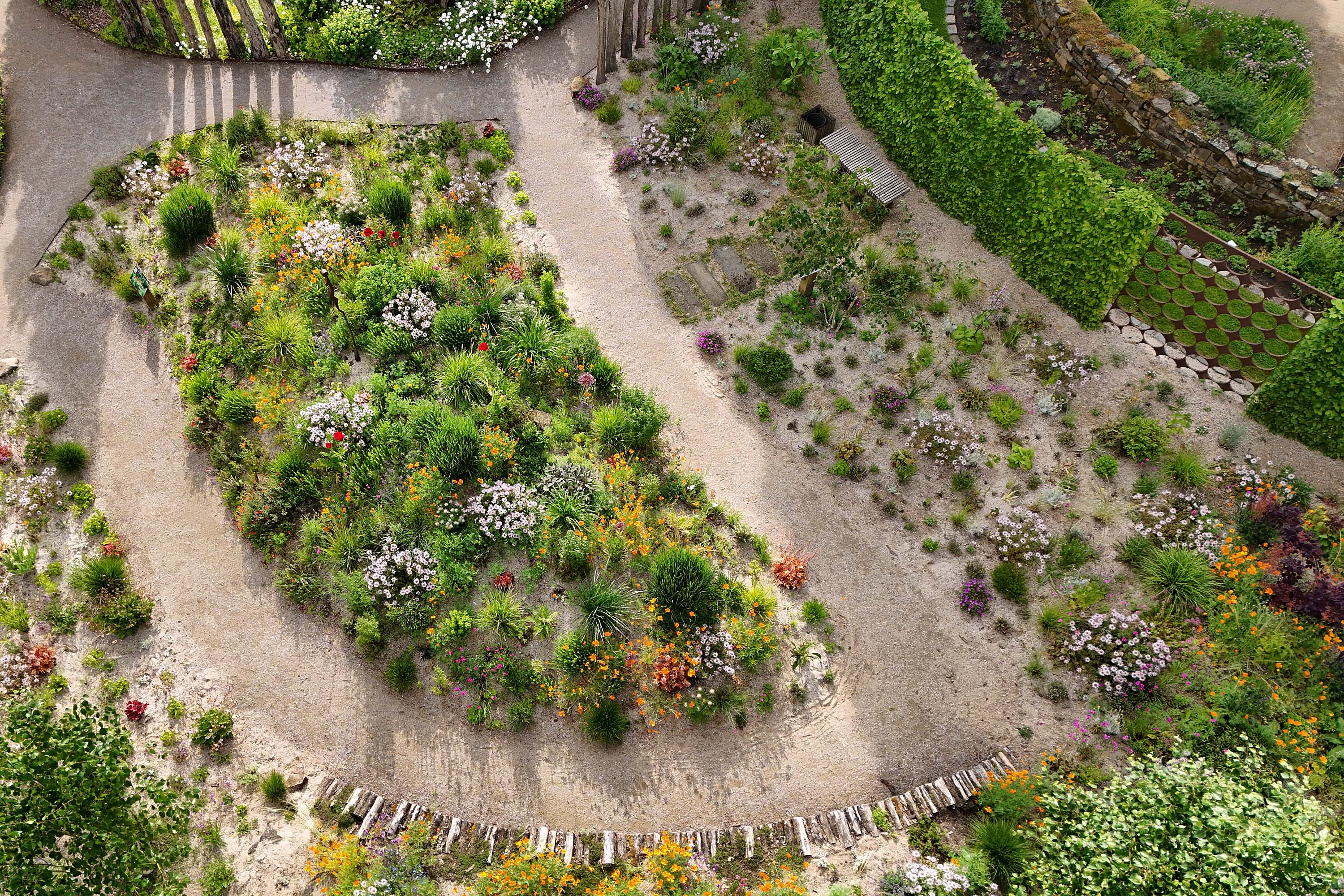 Präriegarten