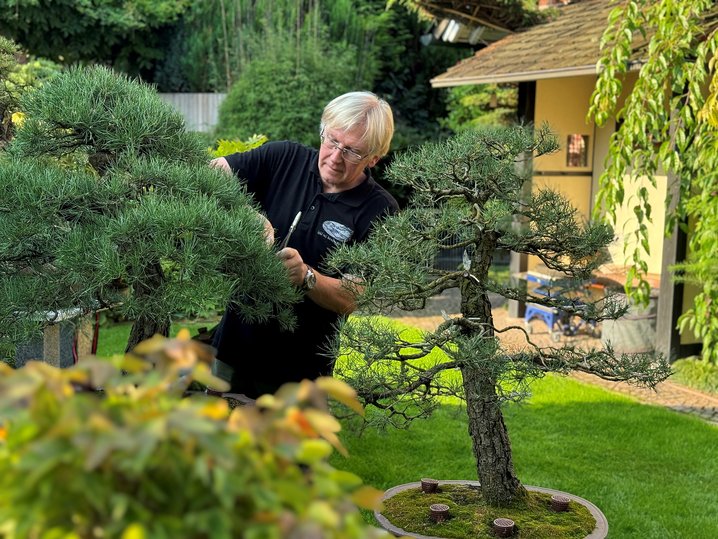 Bonsai-Spezialist Rolf Maeter