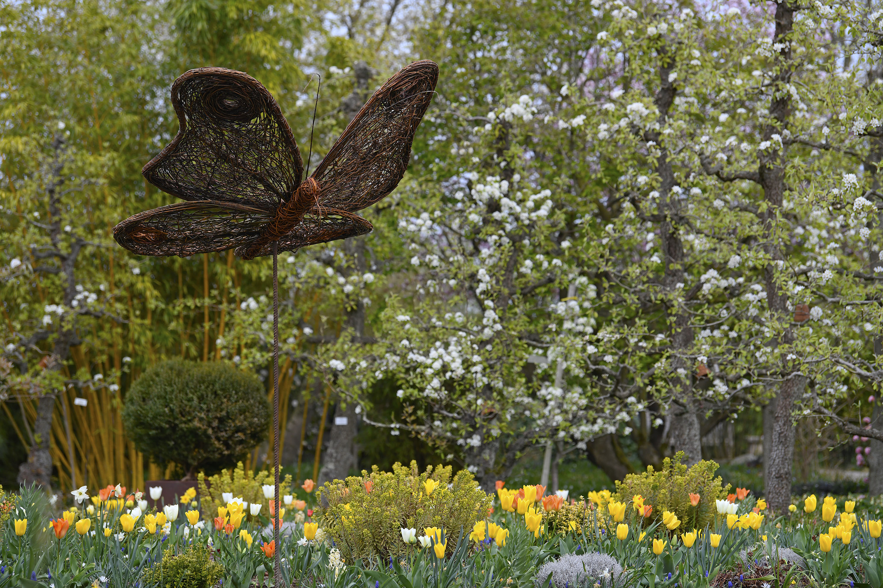 Der Weiden-Schmetterling begrüßt die Besucher des Kreislehrgartens