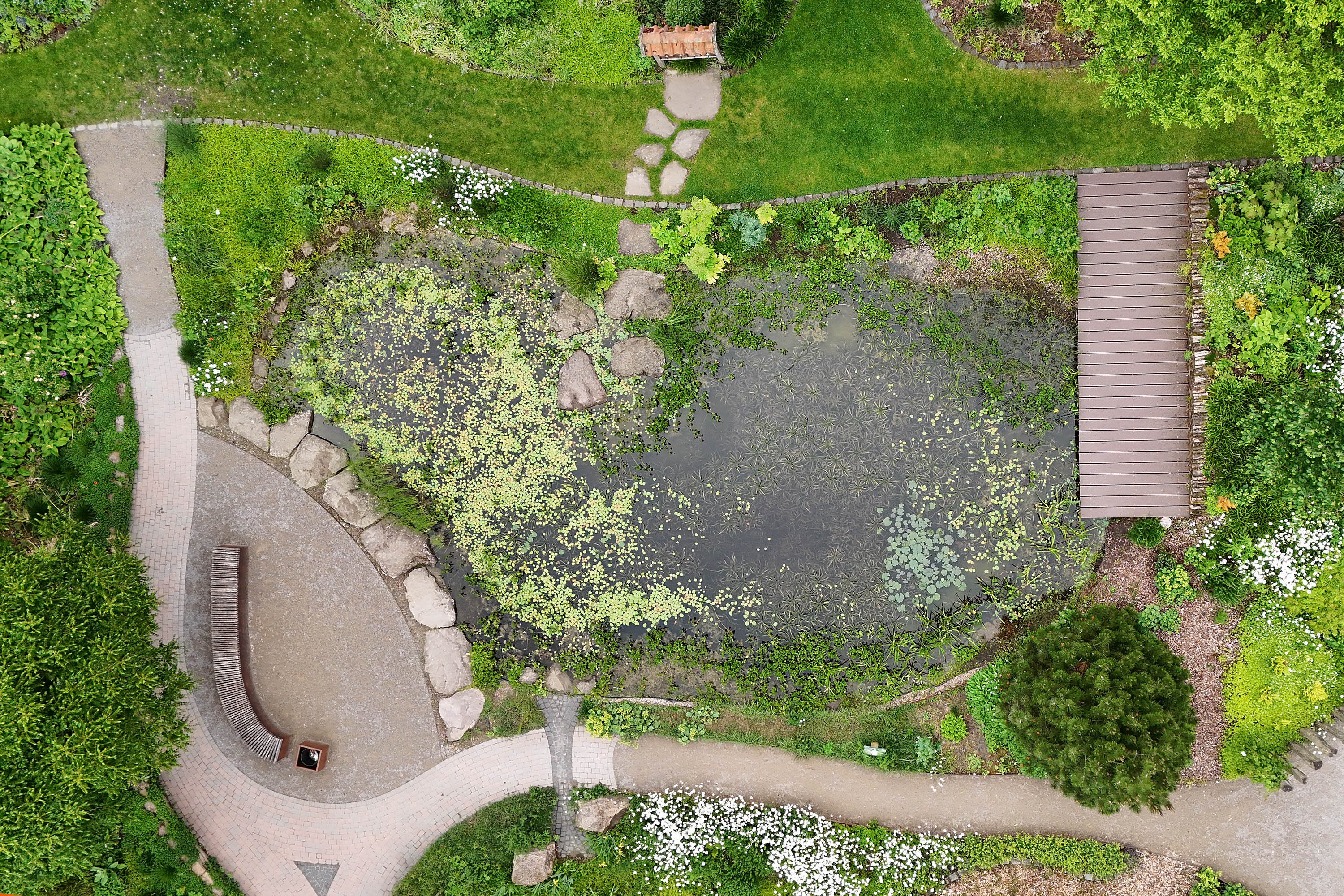 Teich im hinteren Gartenbereich