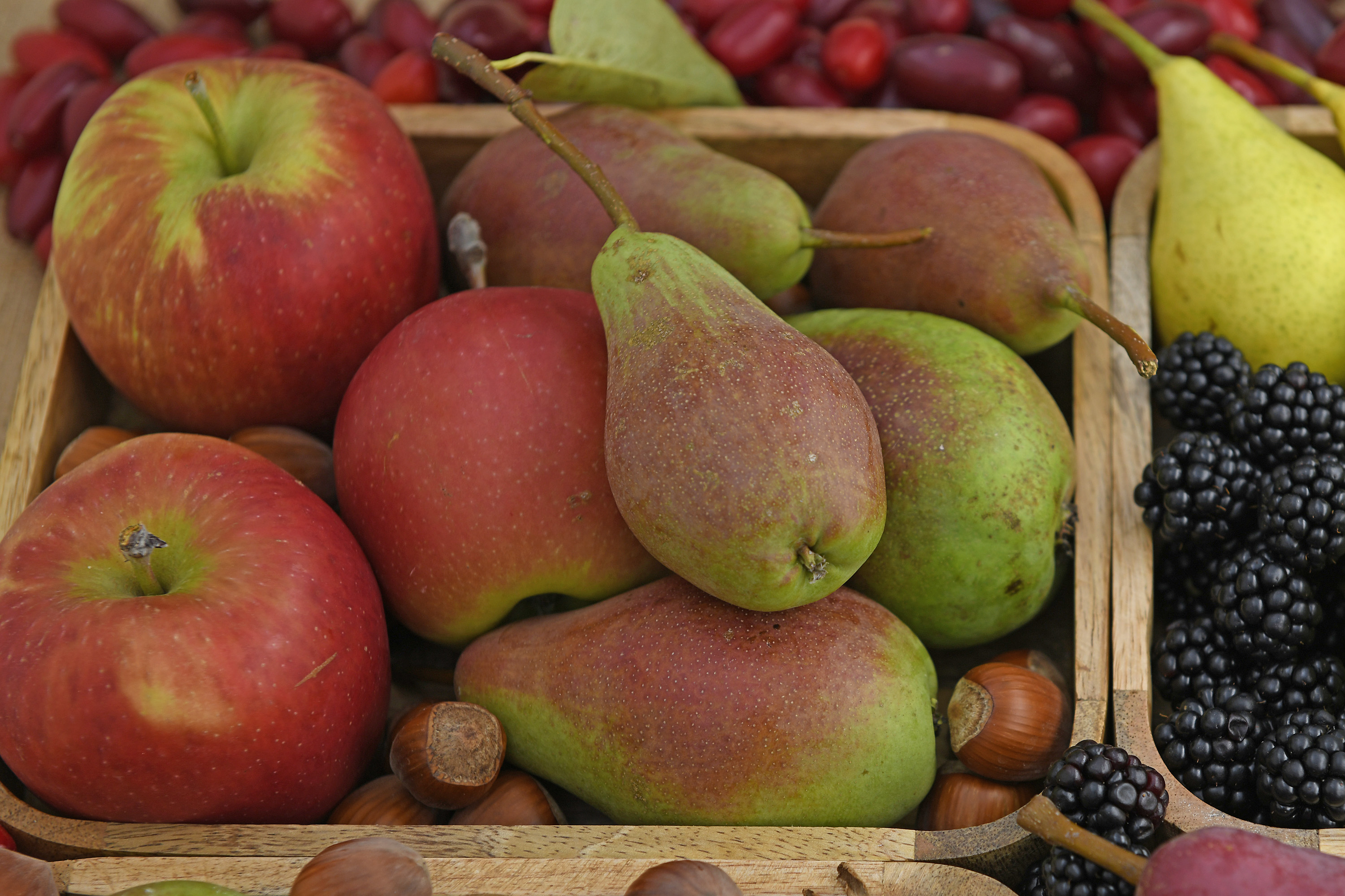 Bunte Obstvielfalt 