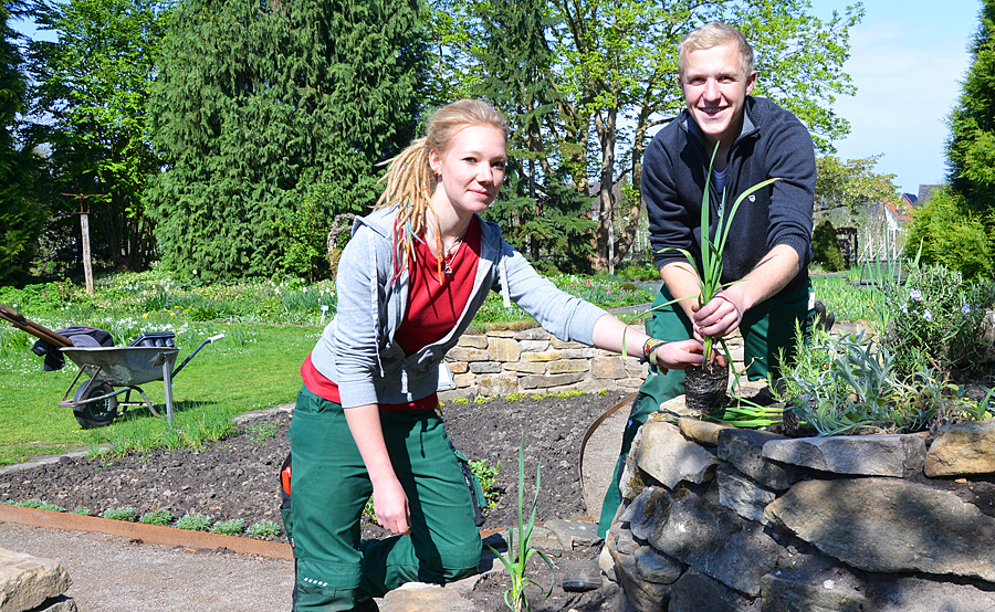 49+ Ausbildung Gärtner Neckar Odenwald Kreis, Intégration en