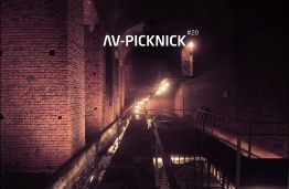 AV-Picknick