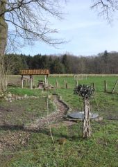 Survival Gardening