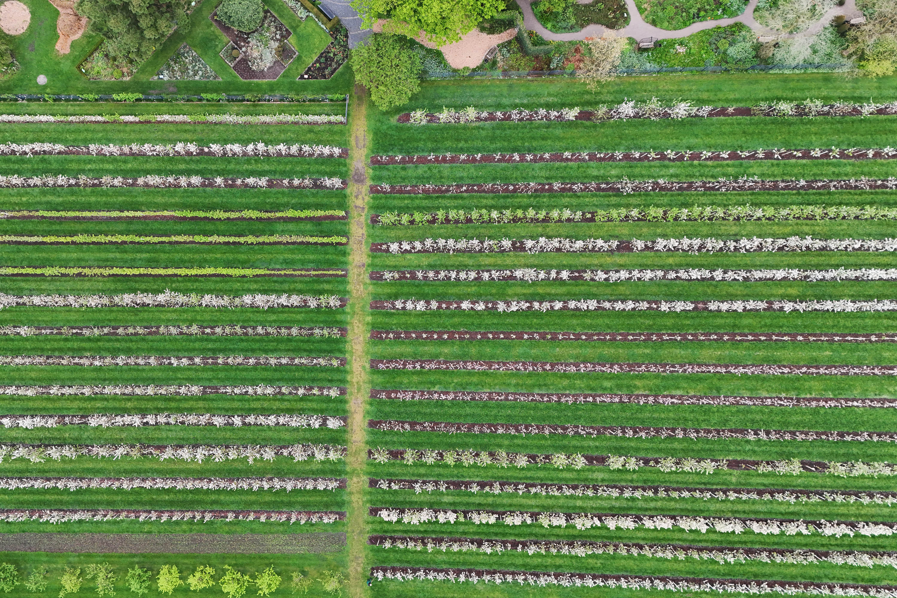 Der Obstgarten in seiner Vielfalt aus der Vogelperspektive Der Obstgarten in seiner Vielfalt aus der Vogelperspektive