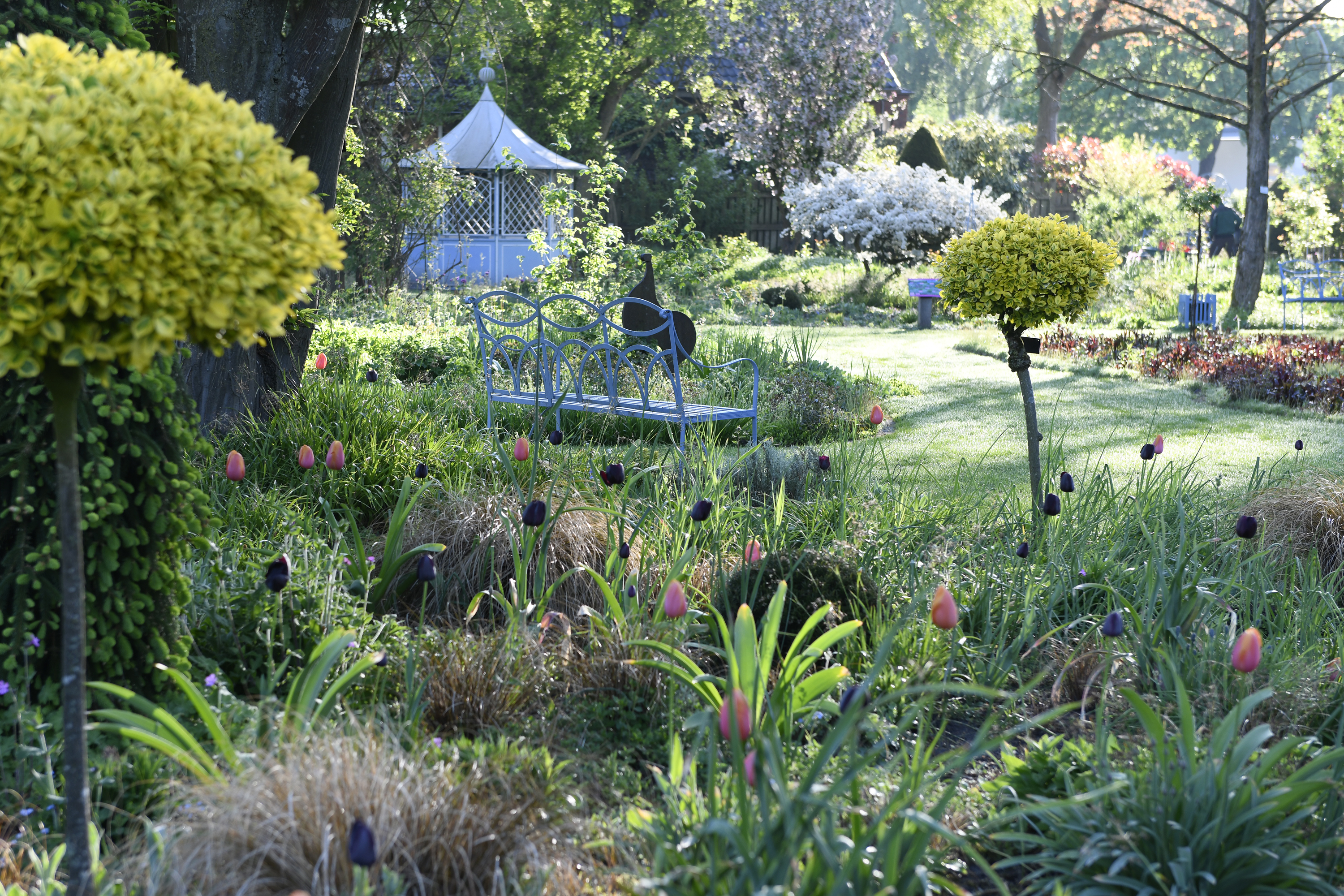 Die Morgensonne lässt die Pastelltöne in den Beeten sanft strahlen Die Morgensonne lässt die Pastelltöne in den Beeten sanft strahlen