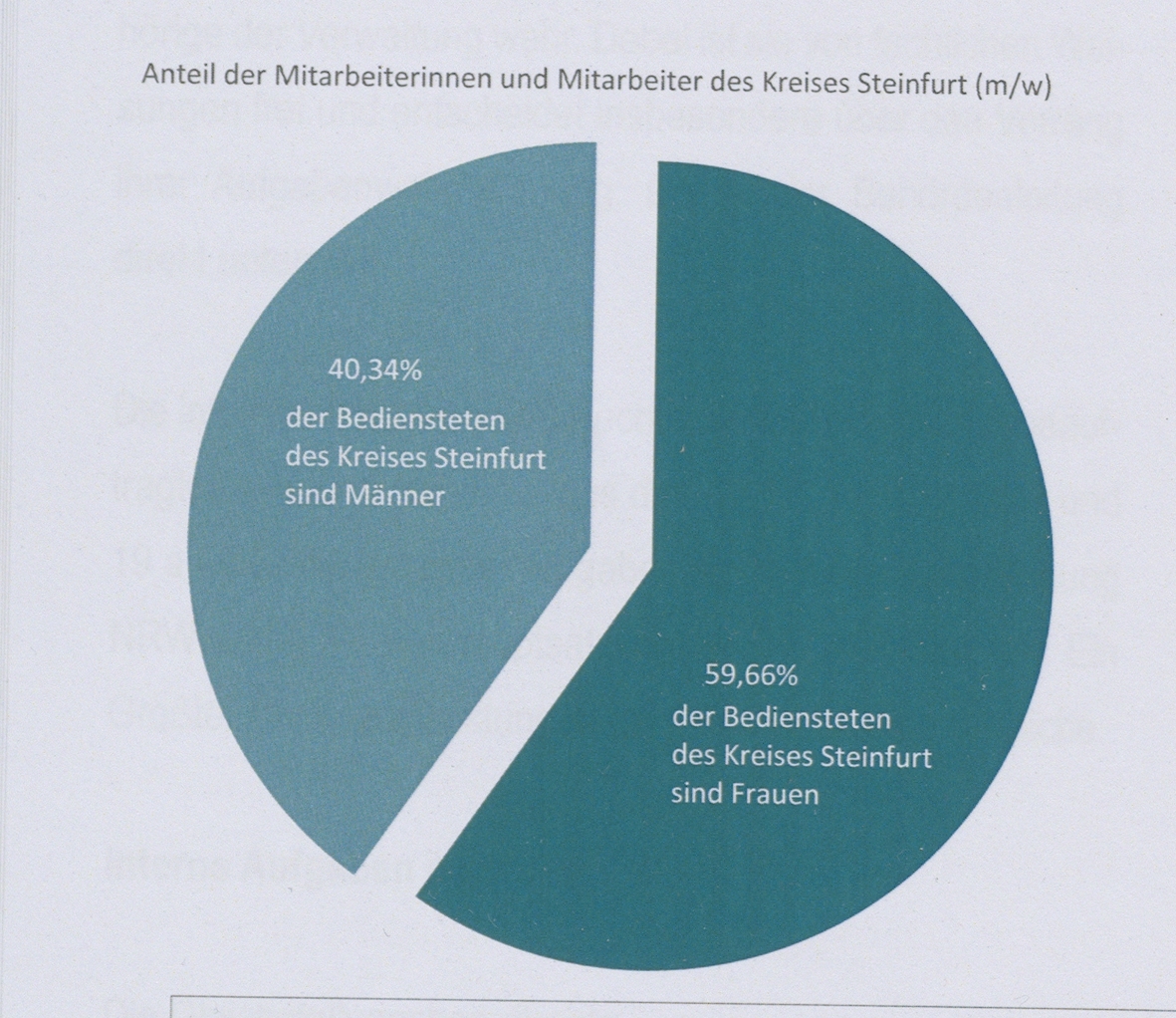Geschlechtsspezifische Verteilung 2017-2022 Geschlechtsspezifische Verteilung 2017-2022