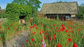 Lehrbienenstand